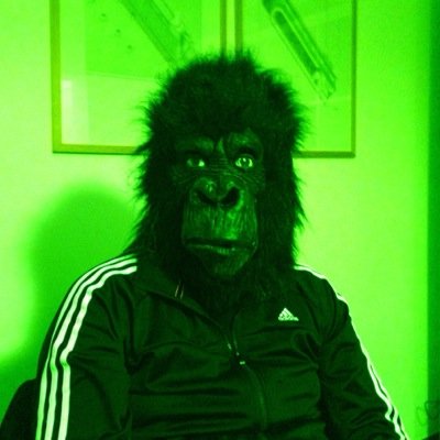 2002 Motomarmittablu;2003 Drunk like an horse; 2006 Bloody Mary; 2008 Chainsaw's EP; 2010 Barely in the mouth of the wolf; 2014 Songs About Monkey Aliens & Cows