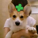 小夏★ (@104keeee) Twitter