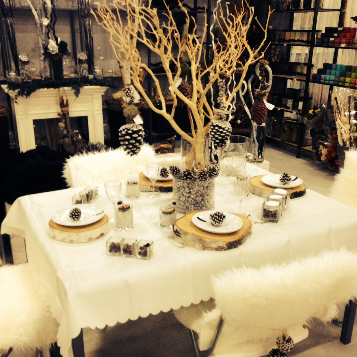 Offical twitter for Botanico Creative Decor. Located at 7110 Pacific Circle, Mississauga. 905-565-1475 - info@botanico.ca
        **Wholesale - Trade Only**