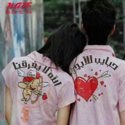 toteg1's profile picture. 