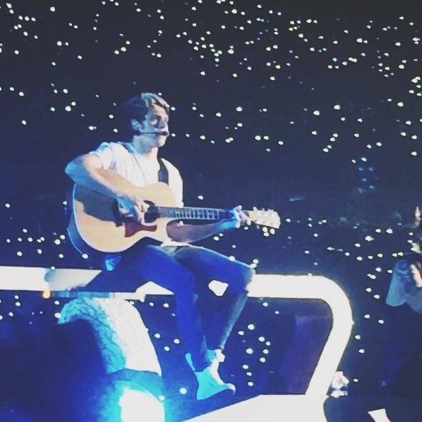 Niall Horan.   Liam Payne.  Zayn Malik.  Louis Tomlinson.  Harry Styles.