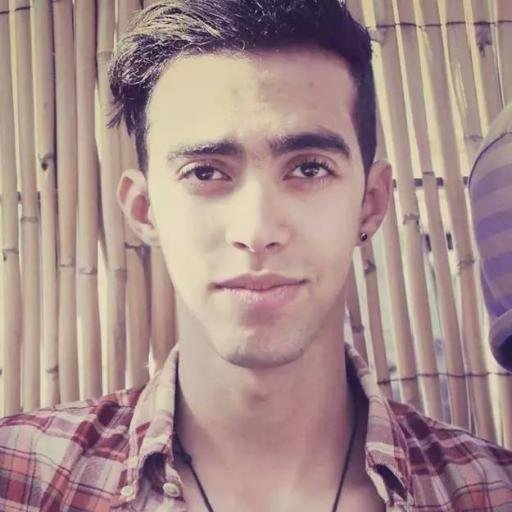 HamzaDeepwave's profile picture. 