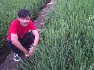KR racing http://t.co/wx0qrs29KA