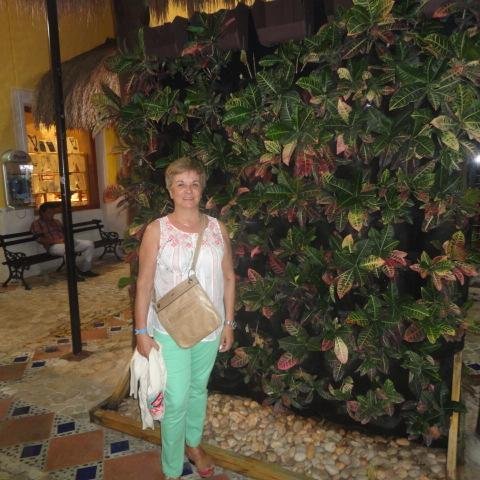 amsacco58's profile picture. 