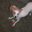 Lori Souza - @lorisouza24 - Twitter