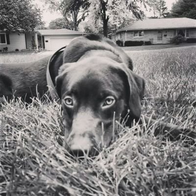 Cstu93's profile picture. 