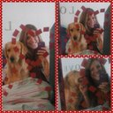 maria cecilia (@MCeci1979) Twitter