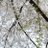 Cccs1356's profile image