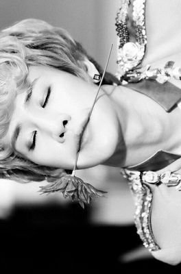 Topp Dogg Wizard.