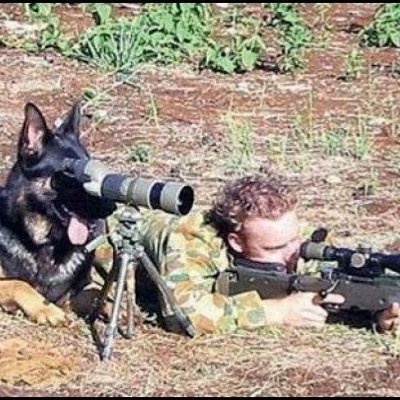 @GermanShepher10