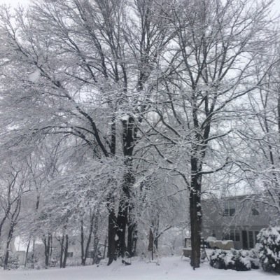 EngelandKevin's profile picture. 