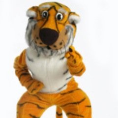 MizzouTips's profile picture. How to survive MU and do some fun shit in the process.