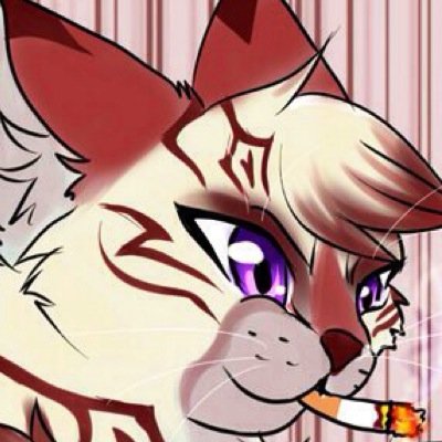 Smoking card playing tabby cat. Just try and beat me at cards. I dare you. | Henchcat of Macavity |Assassin and Abduction |A-Rank. #RP