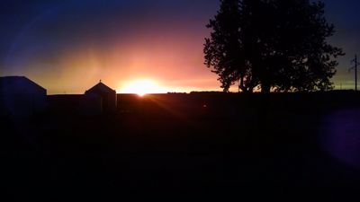 cfast7's profile picture. 