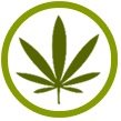 WE are the premier Mobile Media solution for the Marijuana industry.WE connect distributors, retailers, and growers directly with customers via the smartphone.