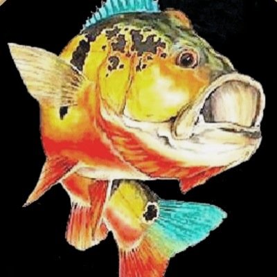 Buena pesca!