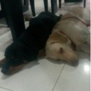  BRYAN CASTRO - @BryanCastroC - Twitter