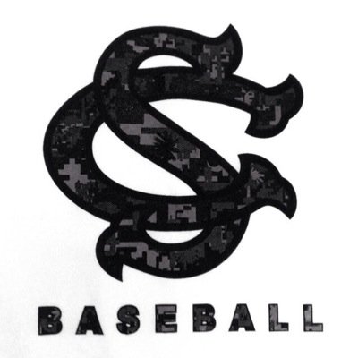 Stillman college baseball
