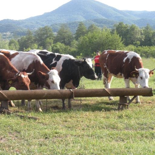 Heifer International Purdue Chapter. Help us in our efforts to end world hunger. Get involved in volunteer opportunities and come to MI and AR with us!