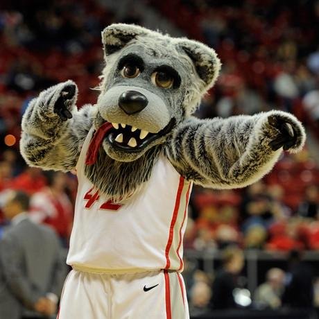 LOBO LOUIE: THE DRUNKEST MASCOT OF ALL TIME. #LOBONATION