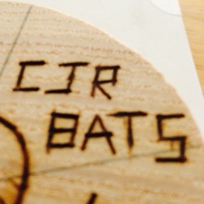 Makin bats since 2014.