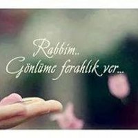ayşe67 (@erturk67) 's Twitter Profile