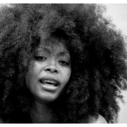 dr_vinci's profile picture. 