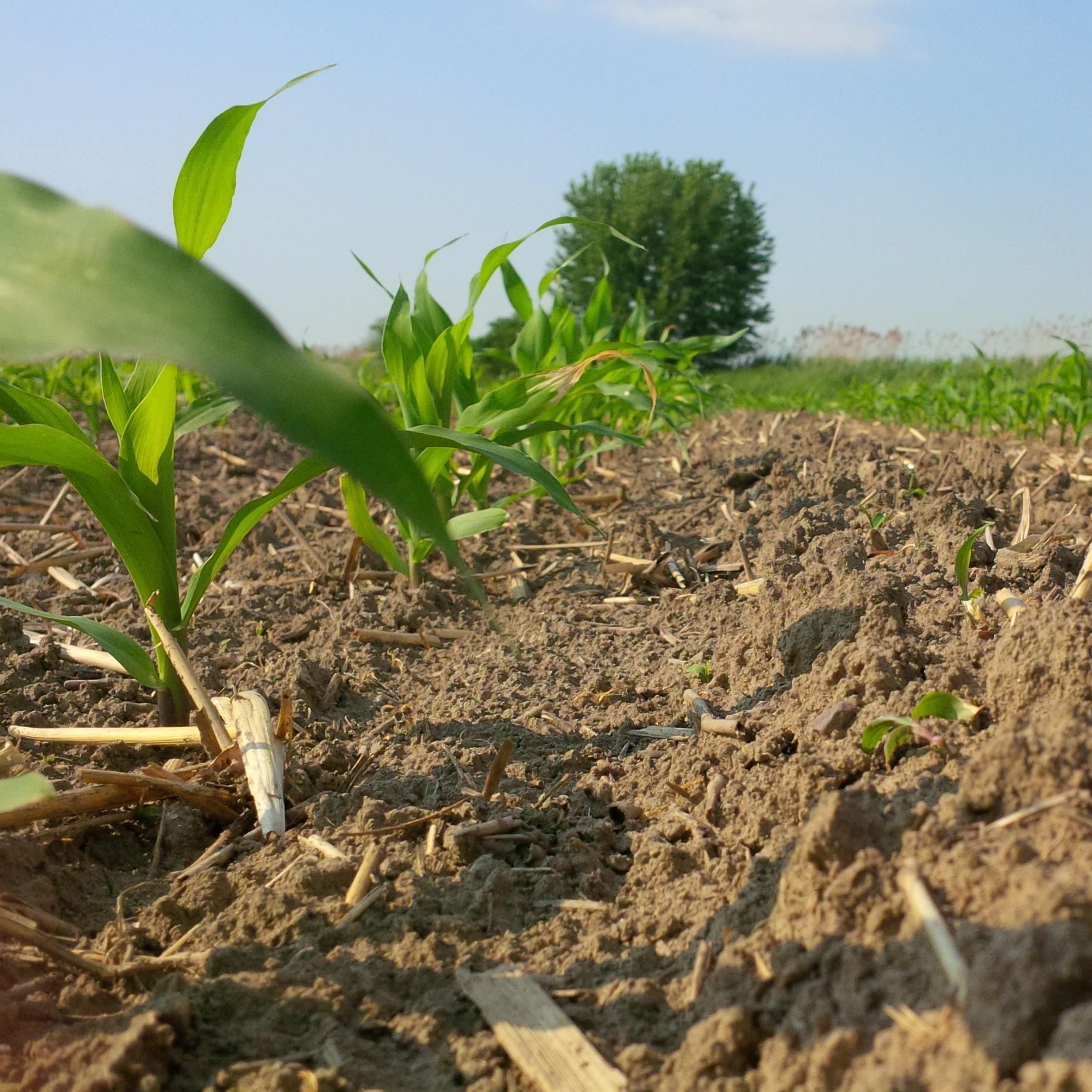 jallaer's profile picture. SERKKA farms inc. Searching for the lowest input costs and highest returns. Gets tougher all the time.