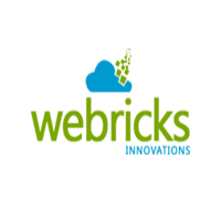 We’re Webricks. We turn ideas into wonderful softwares.