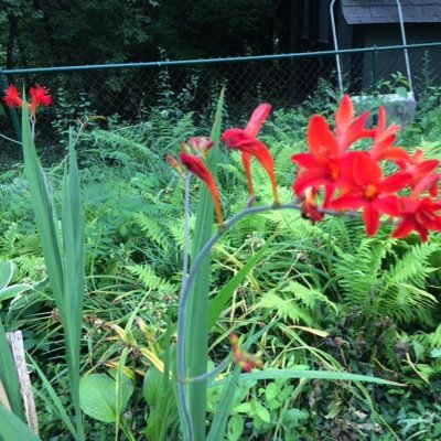 chrpapernstuff's profile picture. Great stationery, paper, gifts and stuff... shop my online store.