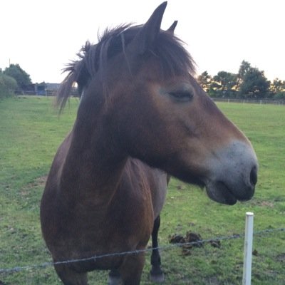 radical_nu's profile picture. You're in the wrong place.