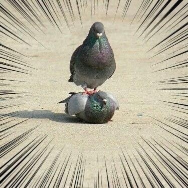 転勤マン シャドウバース、mtgモダン、乳民、パチンカス