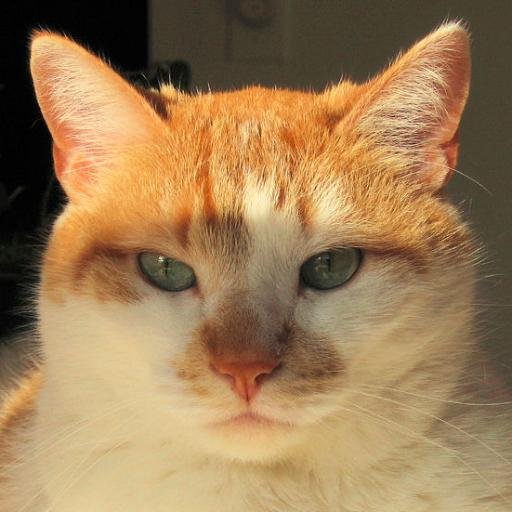 khecht Profile Picture