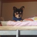 増田 (@0110Akito) Twitter