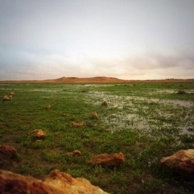 abo3thman12's profile picture. قالوا علامك ضايق الصدر سالي
.قلت الحبيب الله يصبرني فرقاه
راح وتركني في همومي لحالي
اشرب هموم العمر واعل مجراه