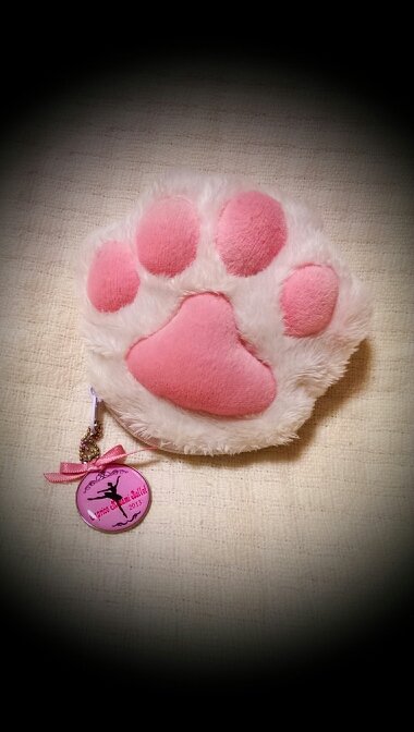 大人バレエ・犬猫好き・書写　🐾実家猫にゃじの下僕🐾