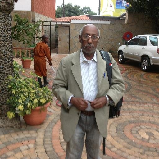 I am a Professor of International Law, Barrister and the Legal Adviser to the Somali President