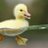marissamccabe_'s profile image