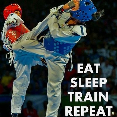 traintkd's profile picture. 