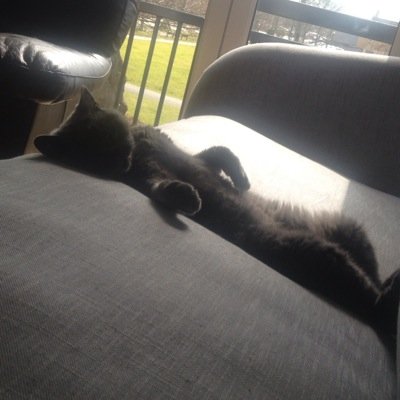 loopysue_'s profile picture. 