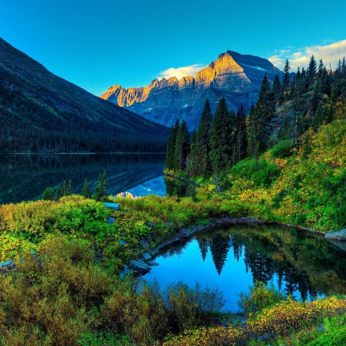 gouravsingh00's profile picture. 