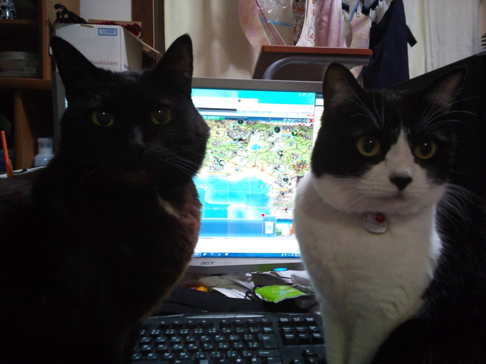 今ハマってるものTFT、モーマンタイム、civ4。LOLはLCKオンリーで見る専。特にT1。映画＆ドラマは毎日見てます。https://t.co/RVDjno9dcn ←欲しい物リスト