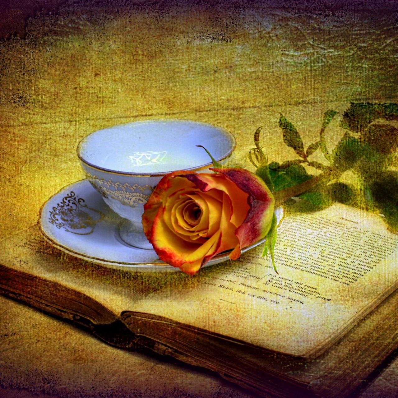 Author, Songwriter, Educator, Entrepreneur,                    
              Renaissance Person http://t.co/75Um66ZCGz