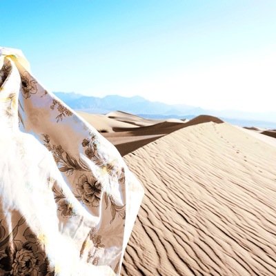 Mike_FRUITION's profile picture. 