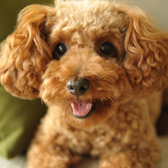 aya1990love2090's profile picture. 