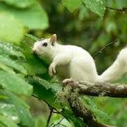 JoJack02's profile picture. Loves dogs.