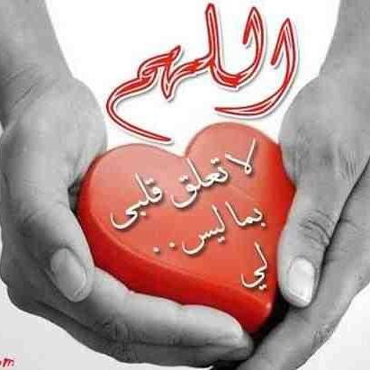 ahmed0551198255's profile picture. حملةدار الذاكرين لنقل المعتمرين والزوار وتاجير الحافلات داخل المملكة وحجز تذاكر  طيران  على جميع الخطوط بالقصيم بريده جوال /0551198255