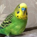 Дитрий Юрчак (@232Dimon) Twitter