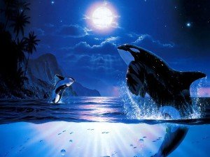 بَعض ألكَلمآت تَستقرْ في ْ ألقٌلوب♥ كَرٌؤوس ( ألإبر ) متيْ ماْ تَحَركَت أوجعتكْ