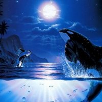 راجح المغامسي (@mynrini14) 's Twitter Profile